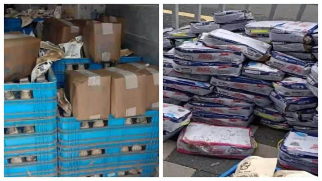 【乳報·聚焦】“豫”難而上的中原牛人“太中了”！