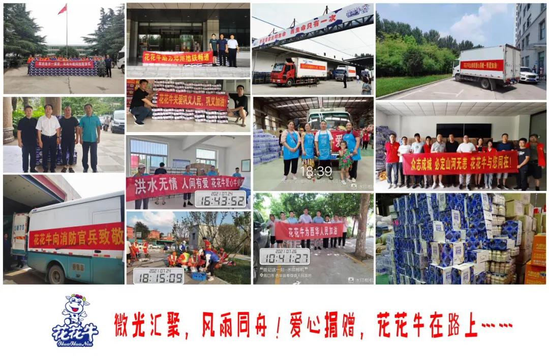 【乳報·聚焦】“豫”難而上的中原牛人“太中了”！