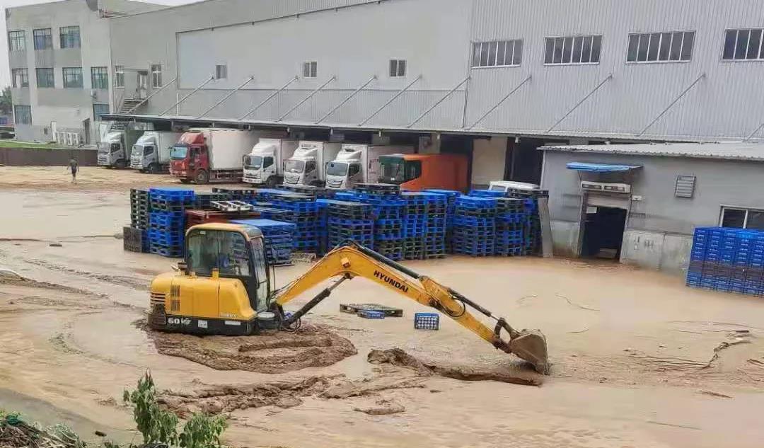 【乳報·聚焦】“豫”難而上的中原牛人“太中了”！