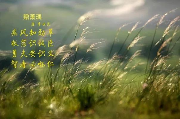 花花牛 | 疾風(fēng)來臨，你是不是勁草？