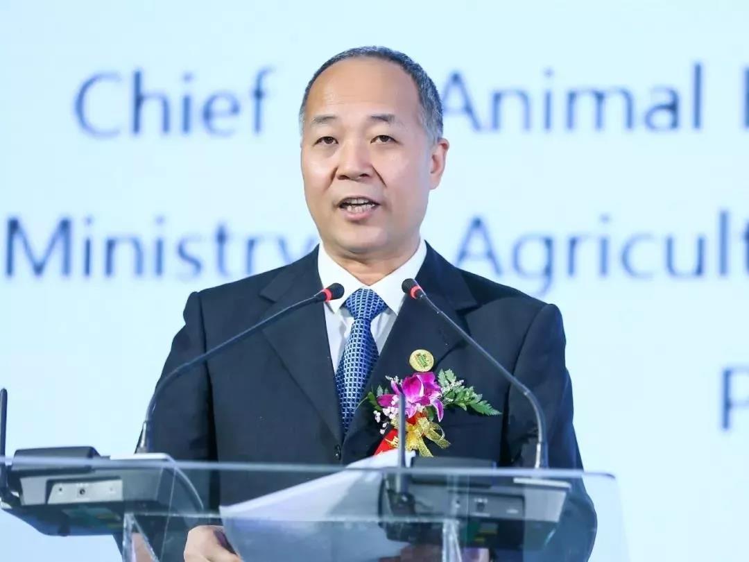 SDDDC走進河南，看看花花牛的國際范兒！