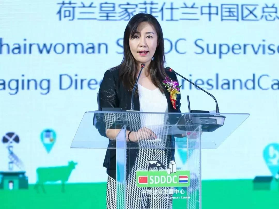 SDDDC走進河南，看看花花牛的國際范兒！