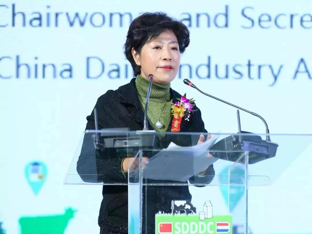 SDDDC走進河南，看看花花牛的國際范兒！