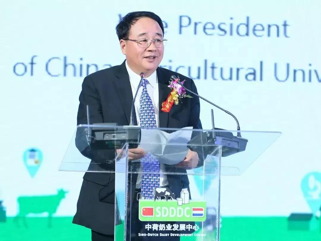 SDDDC走進河南，看看花花牛的國際范兒！