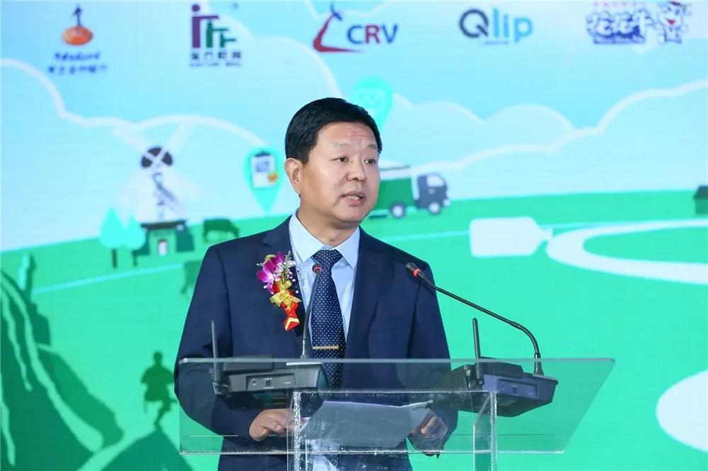 SDDDC走進河南，看看花花牛的國際范兒！