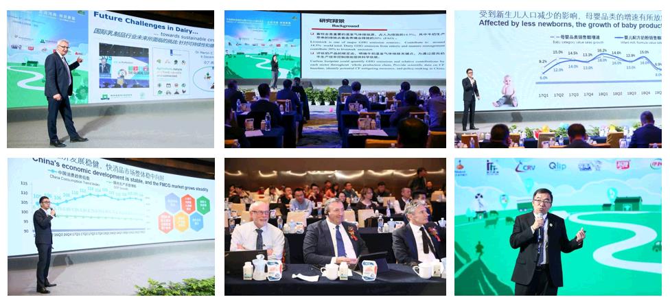 SDDDC走進河南，看看花花牛的國際范兒！