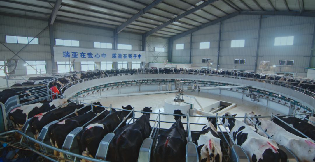 花花牛集團旗下六家公司入選省農(nóng)業(yè)產(chǎn)業(yè)化重點龍頭企業(yè)名單 花花牛集團旗下六家公司入選省農(nóng)業(yè)產(chǎn)業(yè)化重點龍頭企業(yè)名單