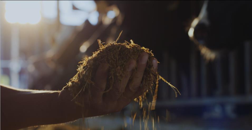 又雙叒叕獲獎(jiǎng)啦！花花牛榮獲“乳品質(zhì)量安全管理 優(yōu)秀企業(yè)”