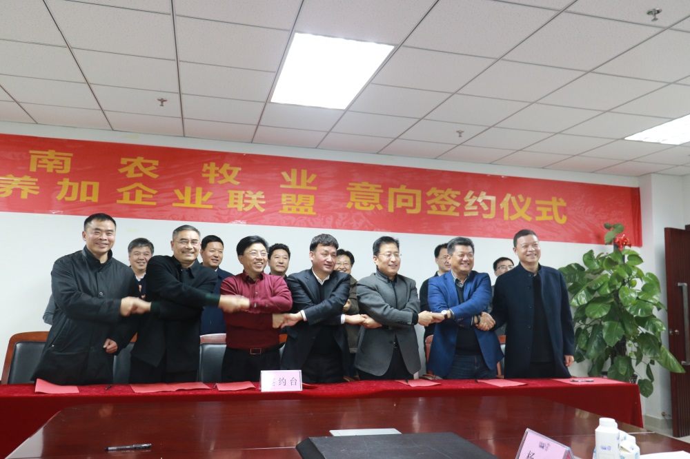 涉農(nóng)企業(yè)強強聯(lián)合，“抱團取暖”共迎企業(yè)發(fā)展的春天