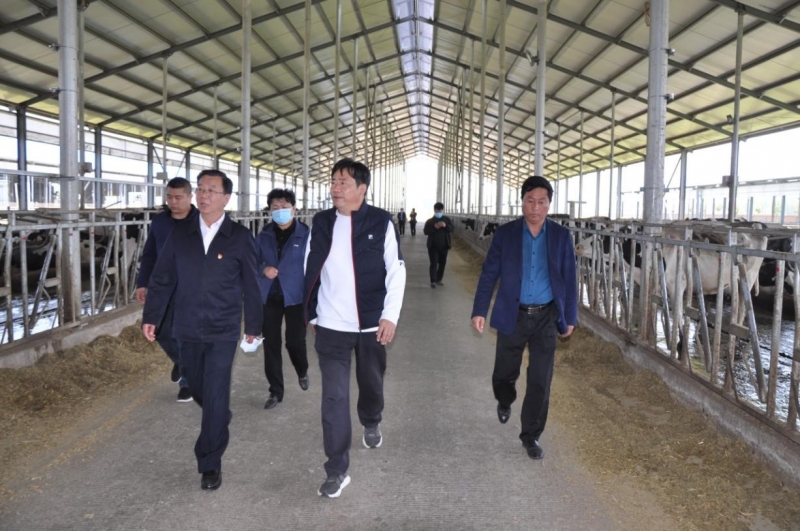商丘市委常委、宣傳部部長(zhǎng)王全周一行蒞臨睢縣瑞亞牧業(yè)有限公司調(diào)研
